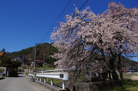 photo-20210414-3