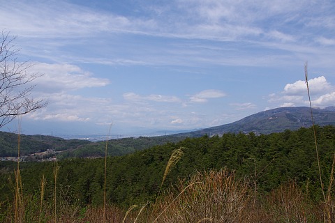 photo-20210425-3