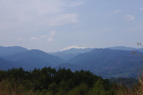 photo-20210425-4
