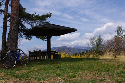 photo-20210425-5