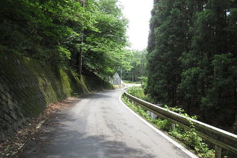 photo-20210626-3