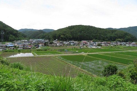 photo-20210703-4