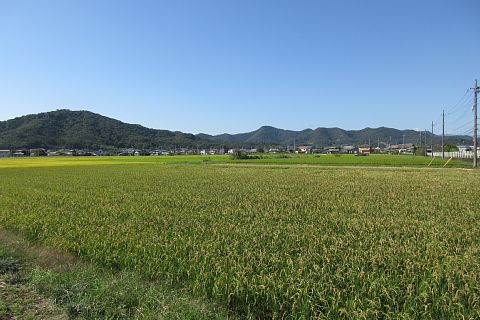photo-20211002-6