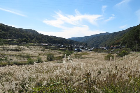 photo-20211024-2