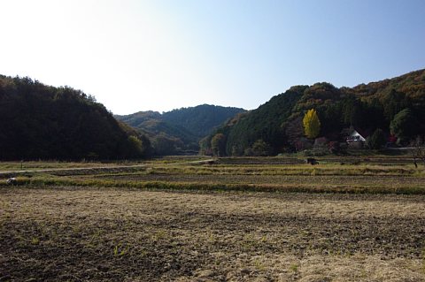 photo-20211120-3