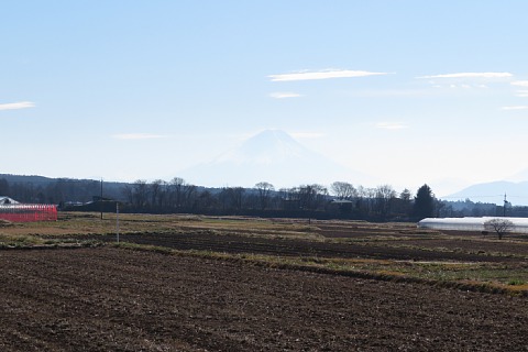 photo-20211212-2