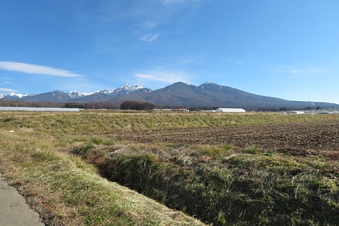 photo-20211212-3