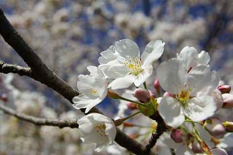 photo-20220402-4