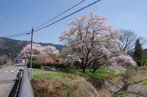 photo-20220409-3
