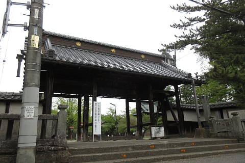 photo-20220417-1