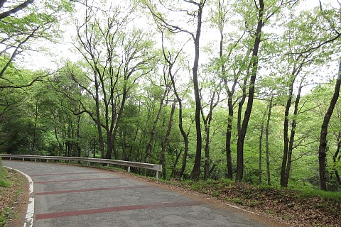 photo-20220417-2