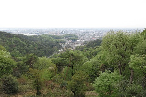 photo-20220417-3
