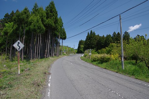 photo-20220503-4