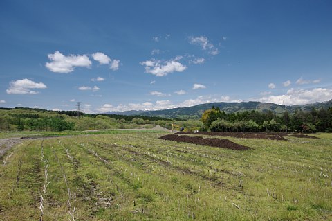 photo-20220503-6