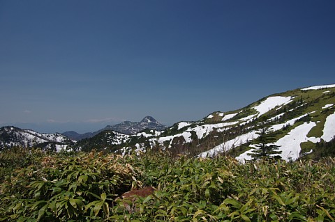 photo-20220506-2