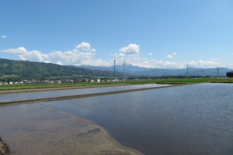 photo-20220507-8