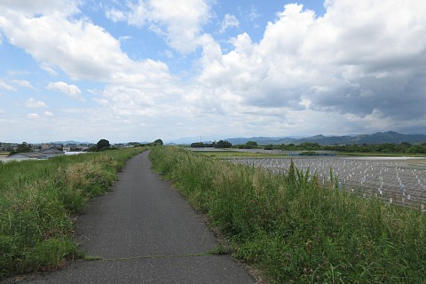photo-20220522-4