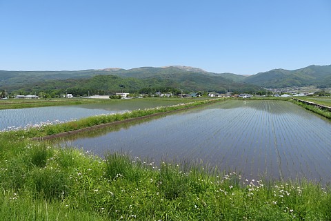photo-20220529-1