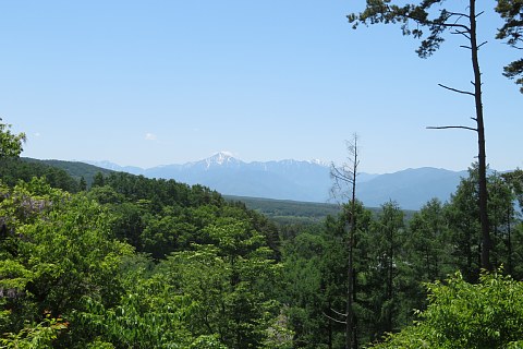 photo-20220529-2