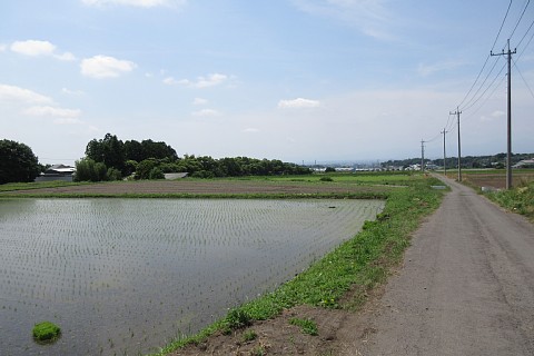 photo-20220605-3