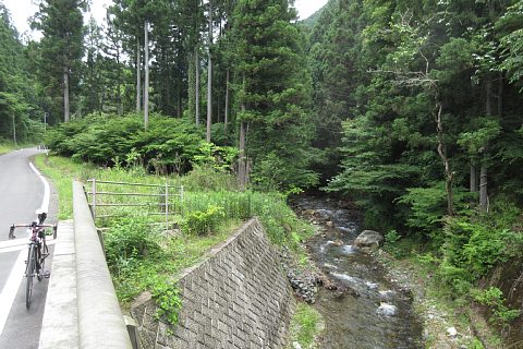photo-20220618-2