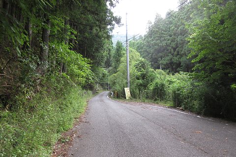 photo-20220710-3