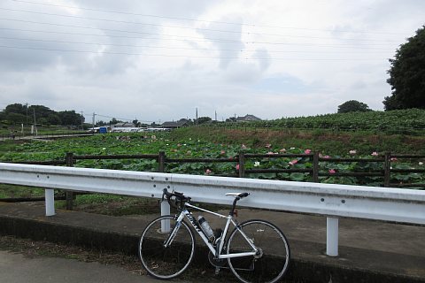 photo-20220717-2