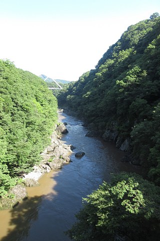 photo-20220723-2
