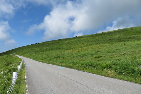 photo-20220807-6