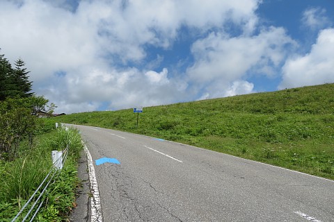 photo-20220807-7