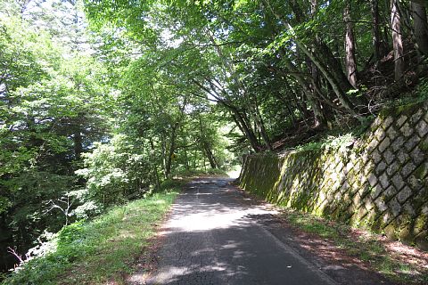 photo-20220807-9