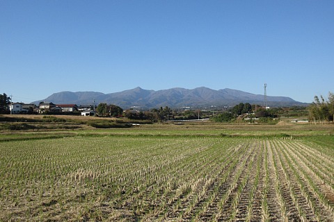 photo-20221106-7