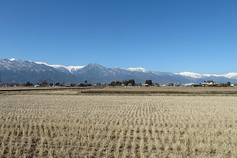 photo-20230227-1