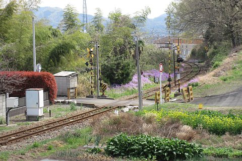 photo-20230402-1