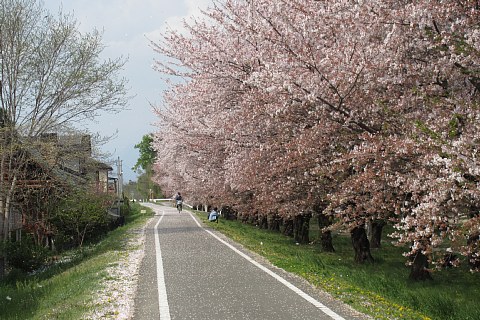 photo-20230402-5