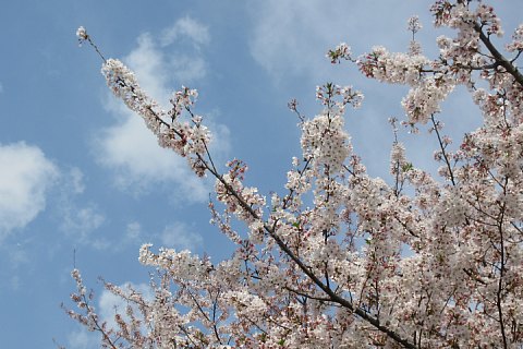 photo-20230402-6