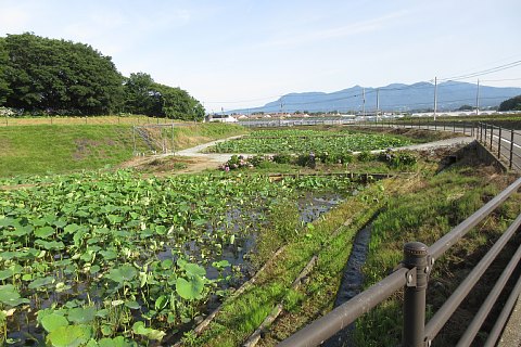photo-20230619-2
