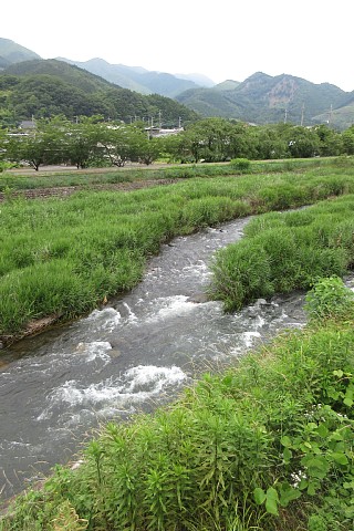 photo-20230625-2