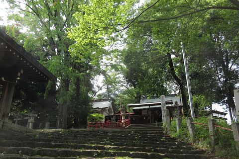 photo-20230715-2