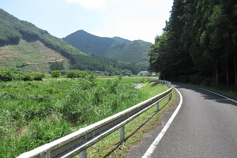 photo-20230725-4