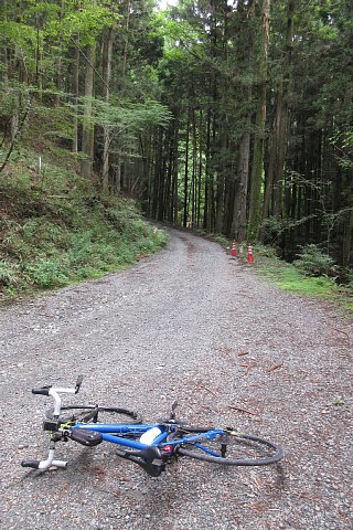 photo-20230812-2