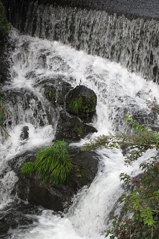 photo-20230812-3