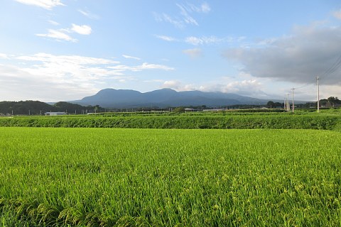 photo-20230816-1