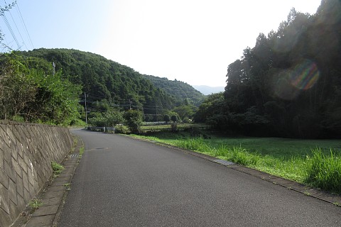 photo-20230819-1