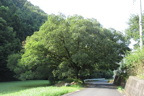 photo-20230819-2