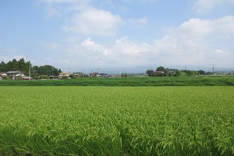 photo-20230819-4
