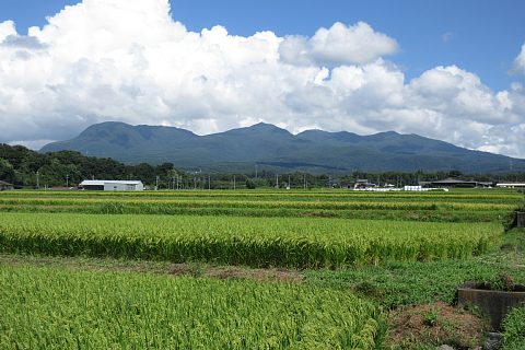 photo-20230828-2