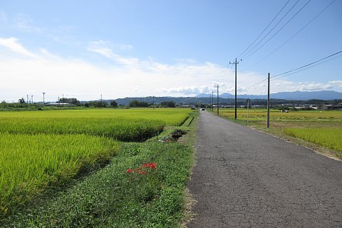 photo-20230925-2