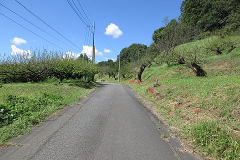 photo-20230925-4