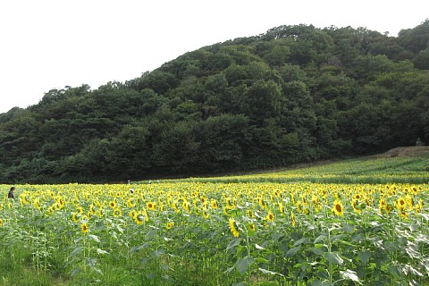 photo-20230930-2